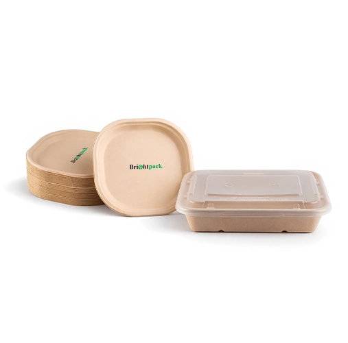 Disposable Plates and Containers